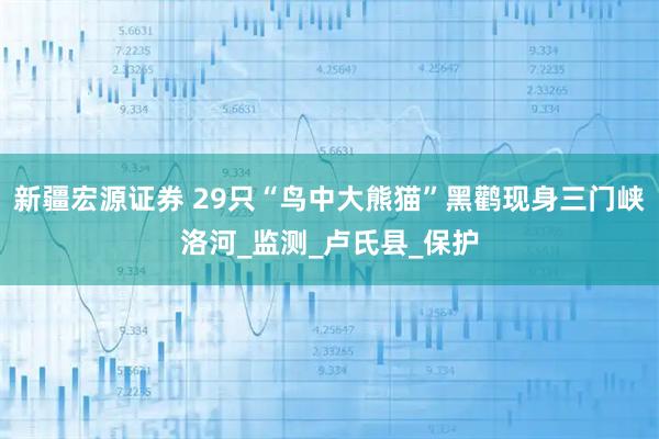 新疆宏源证券 29只“鸟中大熊猫”黑鹳现身三门峡洛河_监测_卢氏县_保护